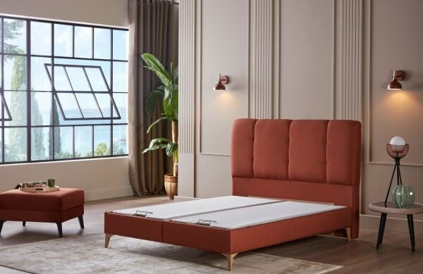Star Başlık Kremit 150